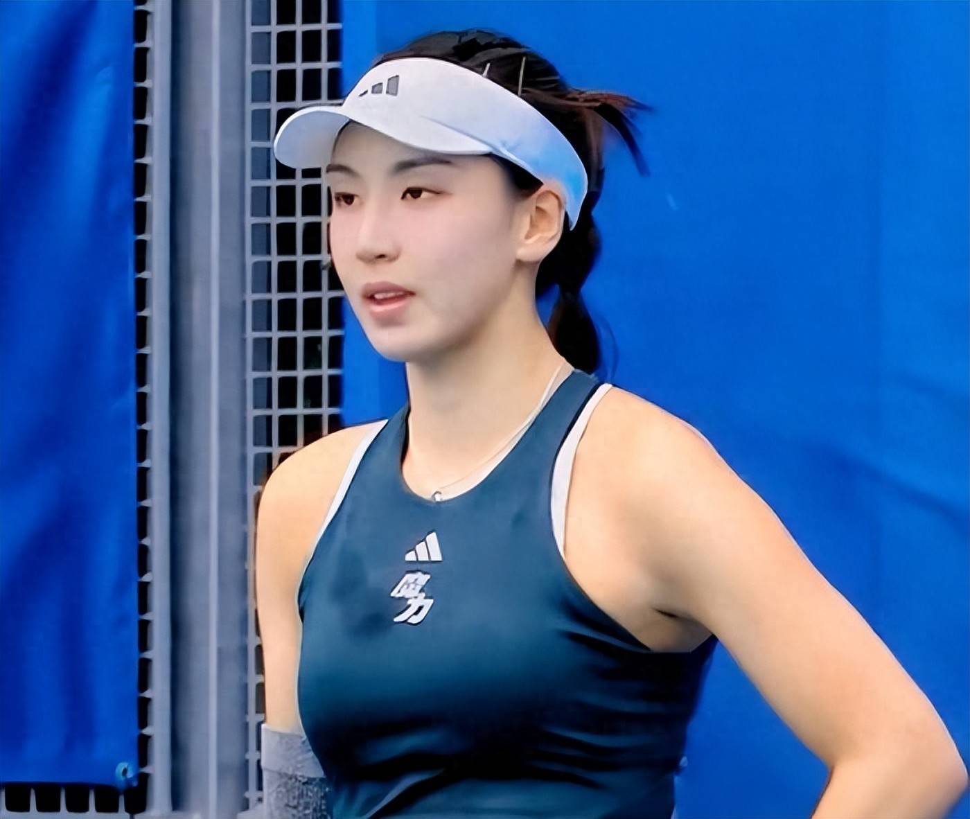 羽毛球运动 羽毛球运动